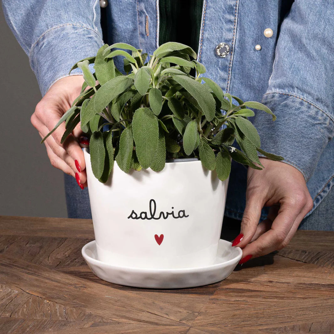 Vaso Salvia Cuore, con sottovaso