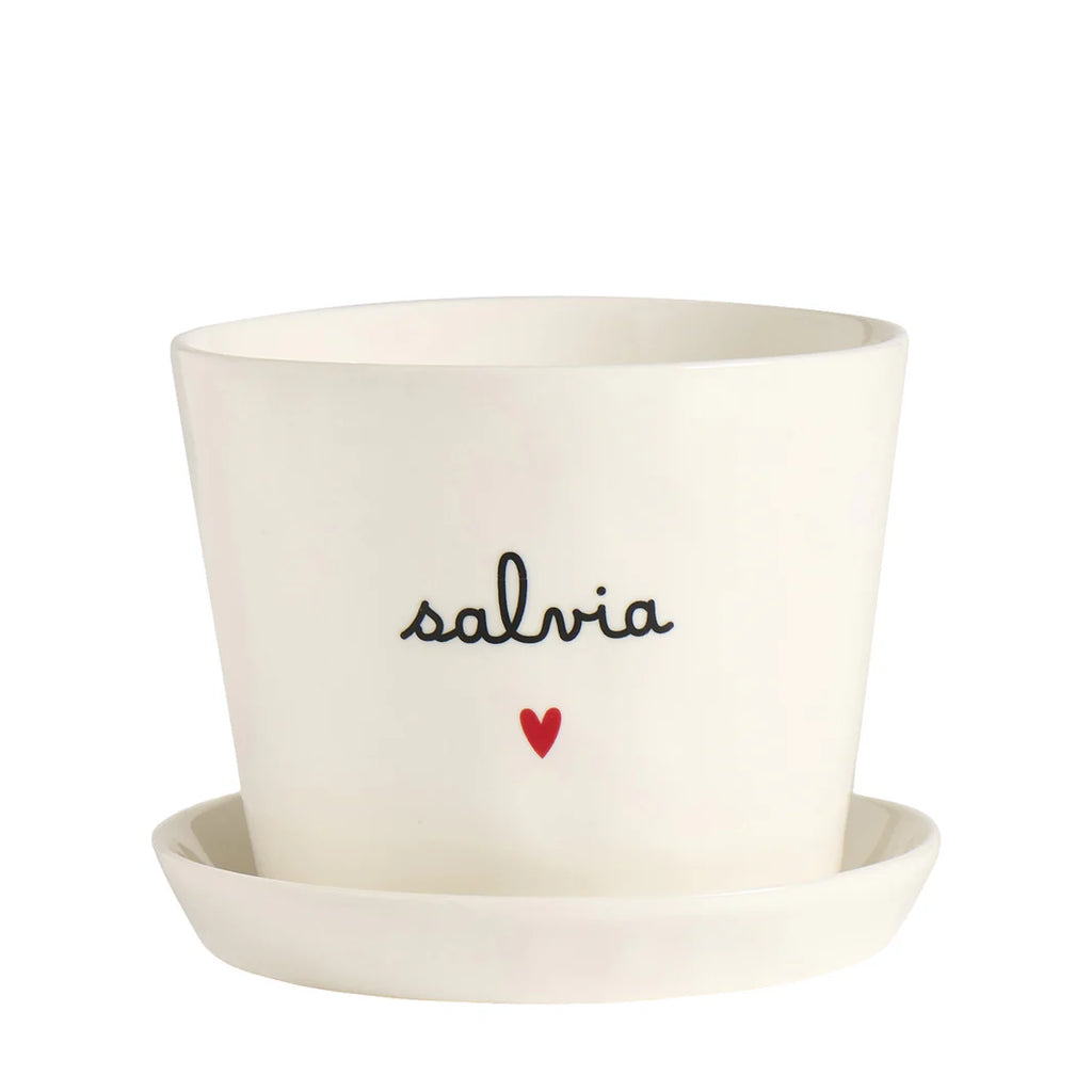 Vaso Salvia Cuore, con sottovaso