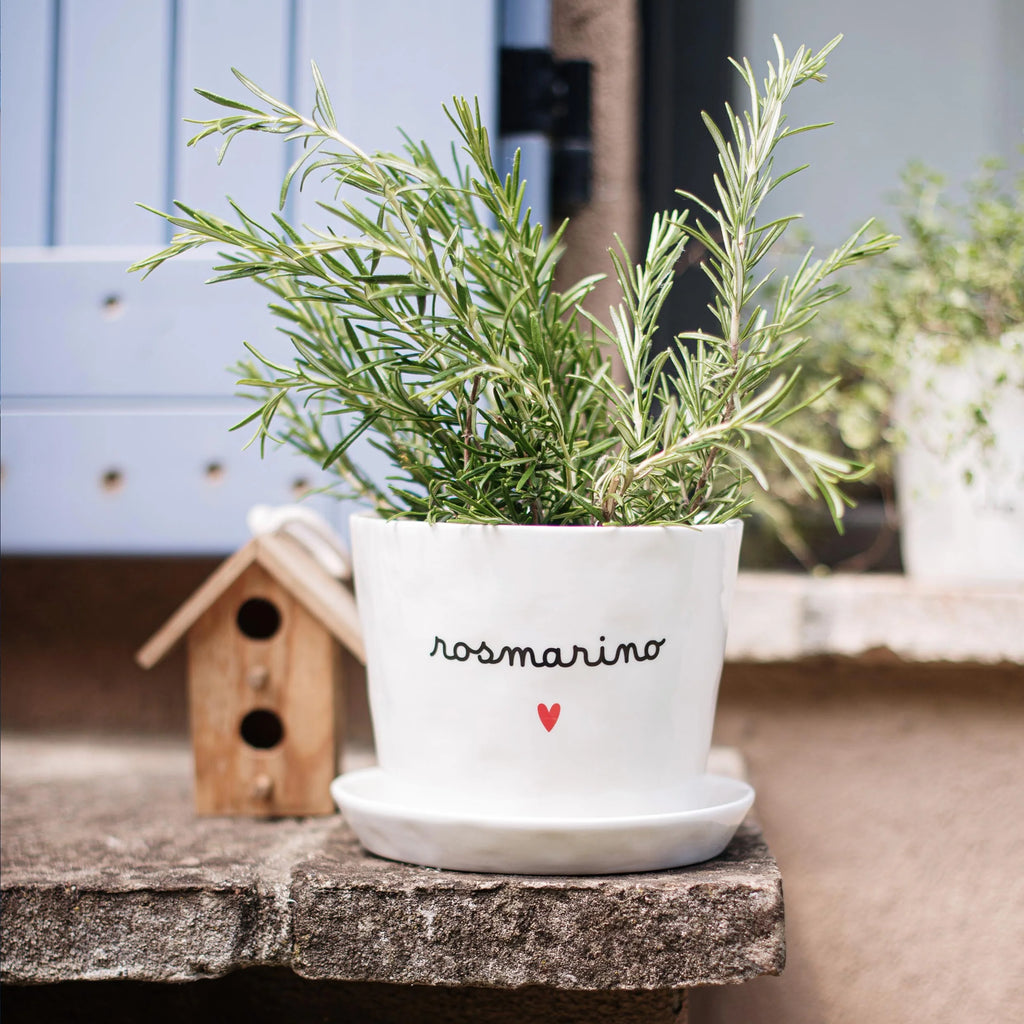 Vaso Rosmarino Cuore, con sottovaso