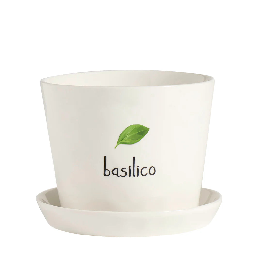 Vaso Basilico, con sottovaso